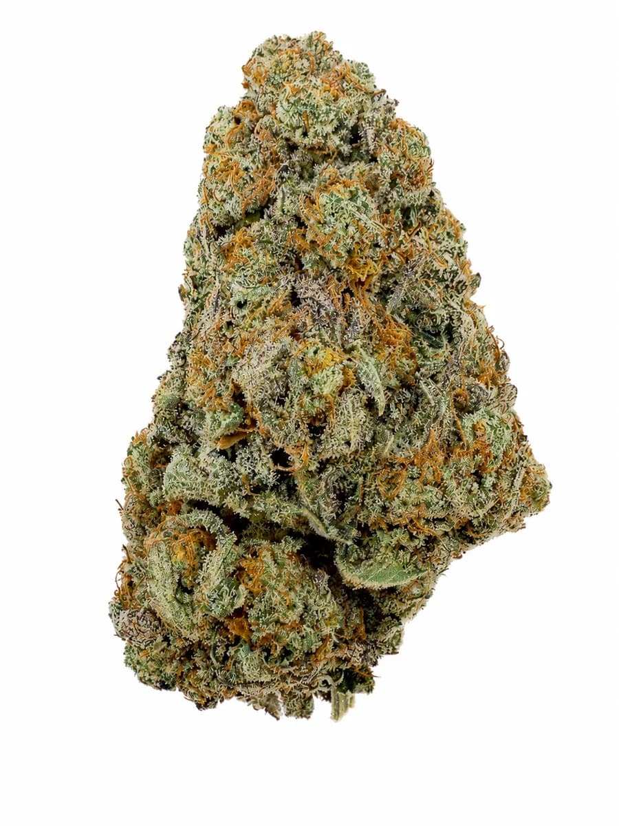 BUTTERCREAM GELATO - BIG BUD - INDOOR CALI