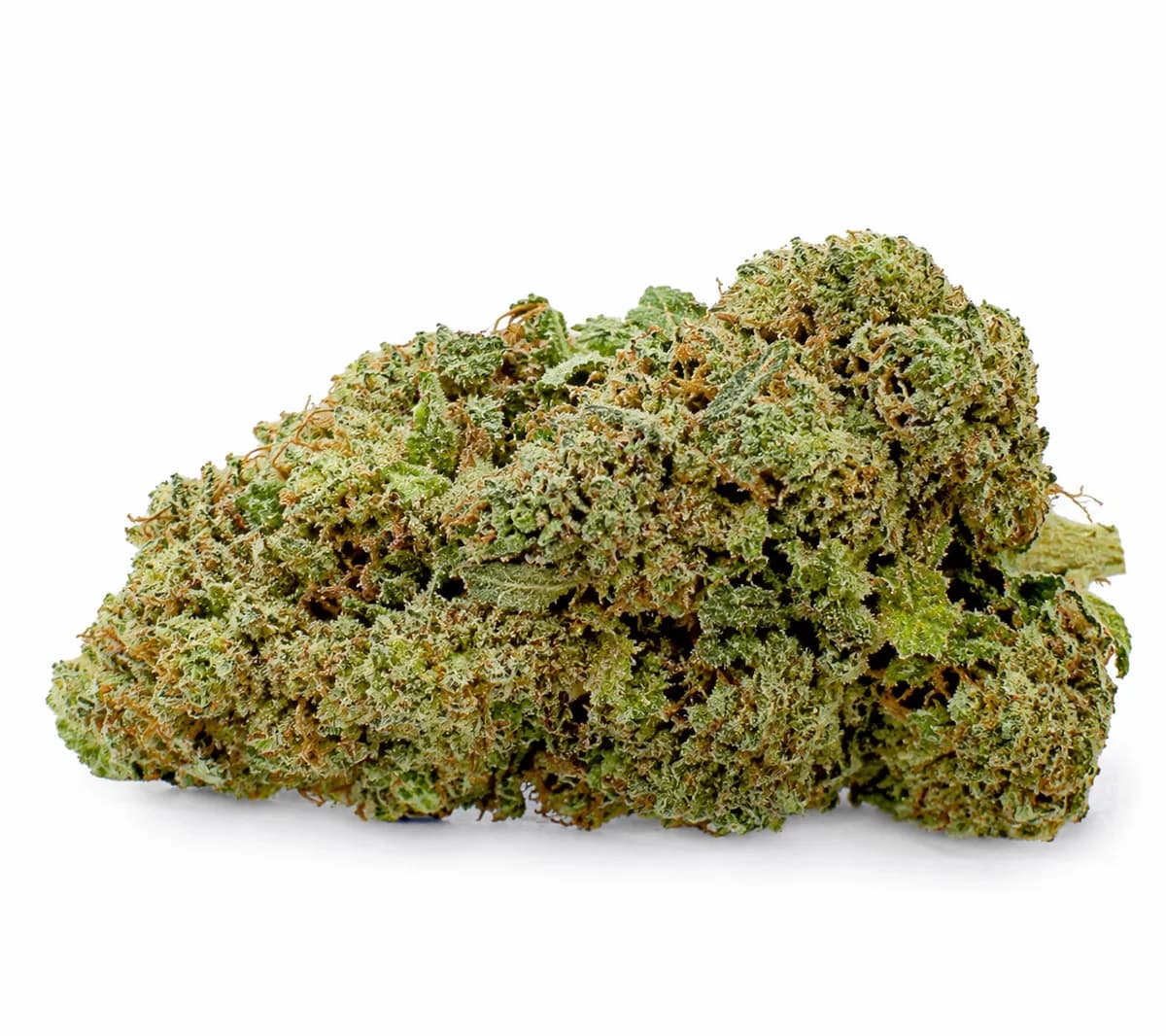 ICED RUNTZ - BUD MIX - INDOOR CALI