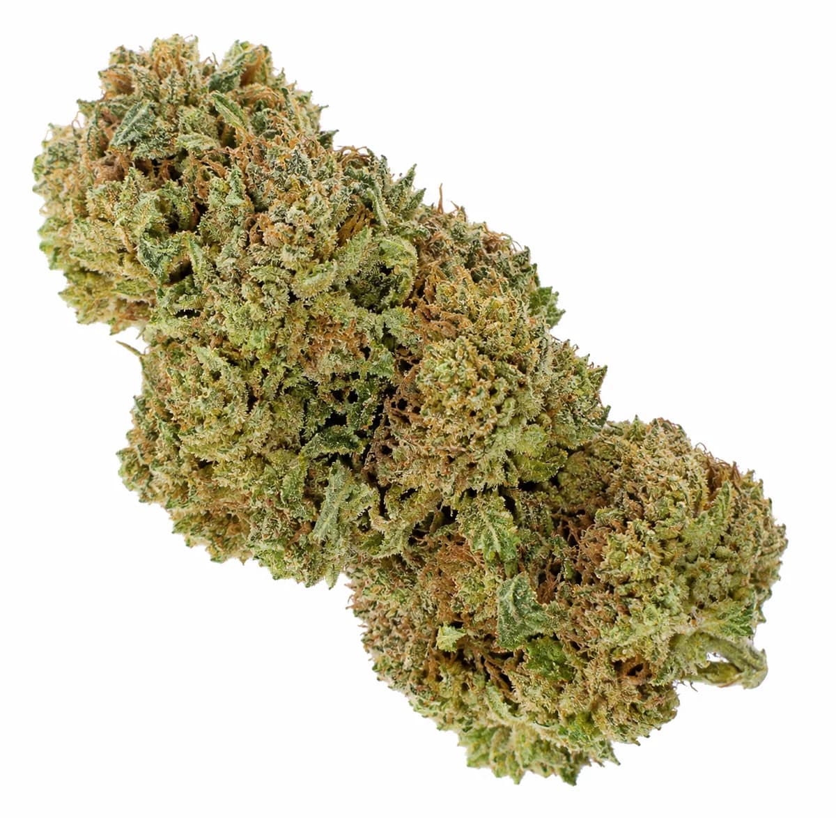 SUPER LEMON HAZE - BUD MIX - GLASS HOUSE