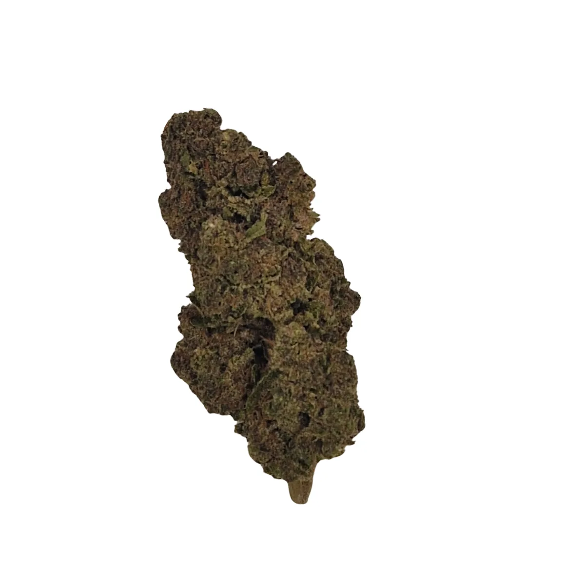 BRUCE BANNER INDOOR