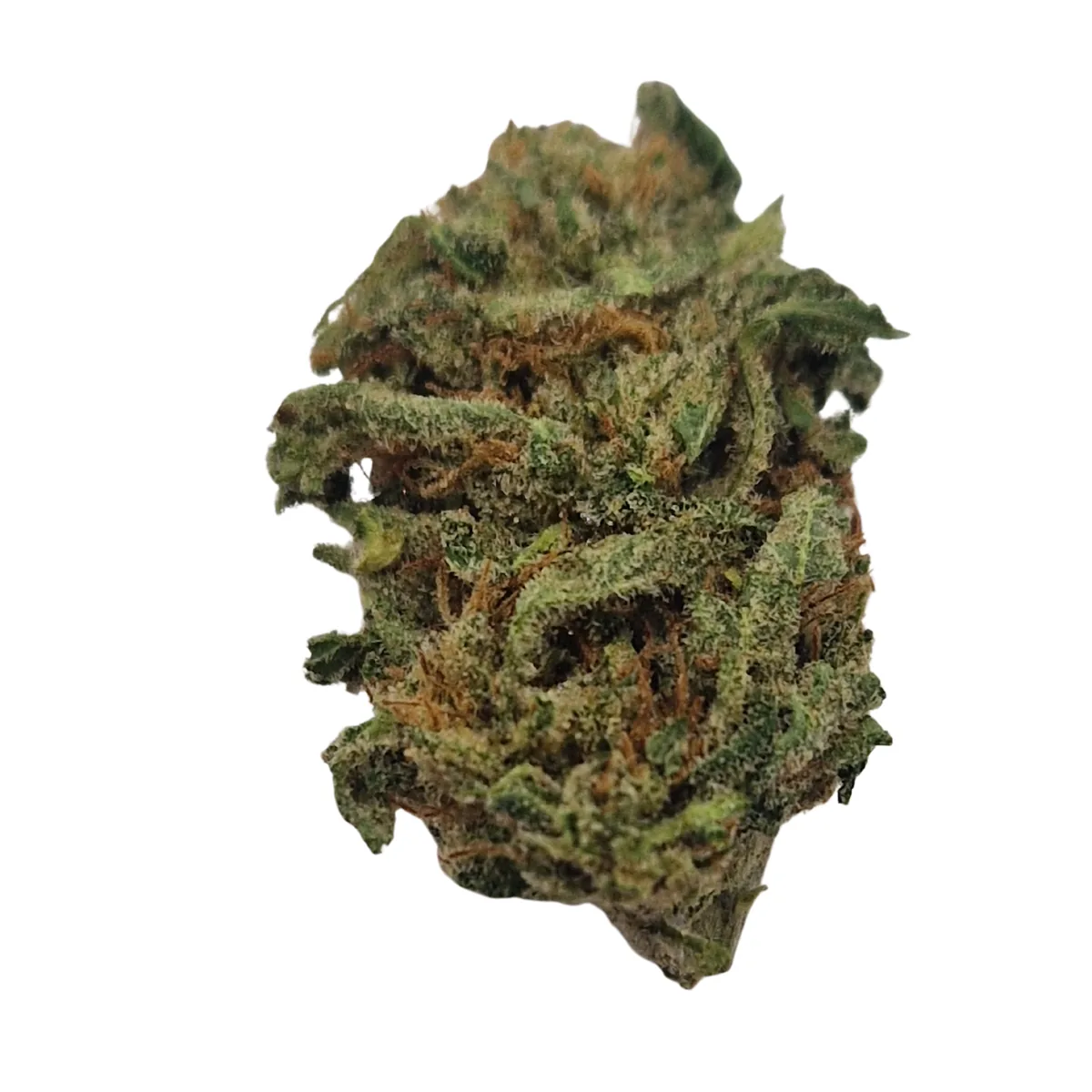SKYWALKER OG GLASS-HOUSE