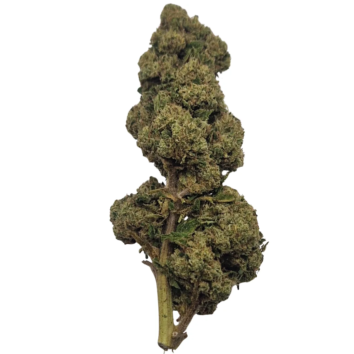 WHITE WIDOW BUD MIX GLASS-HOUSE