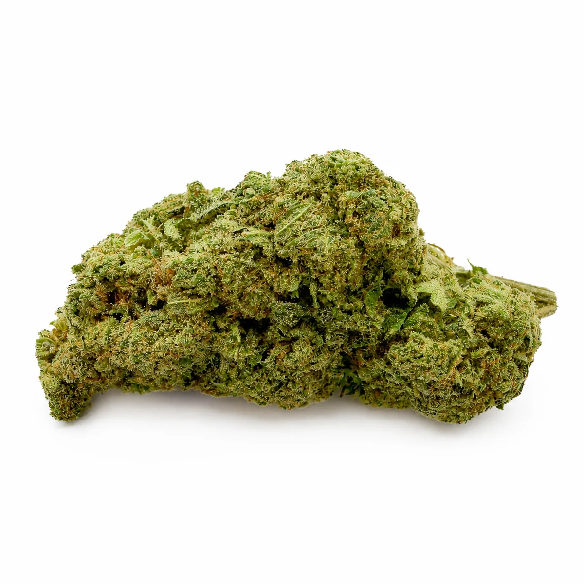 ACAPULCO GOLD - BUD MIX - INDOOR